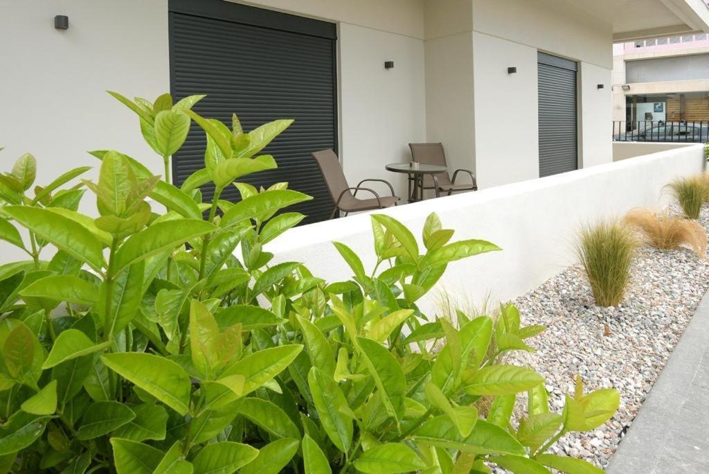 Aello Luxury Apartments Markopoulo Mesogaias Exterior photo